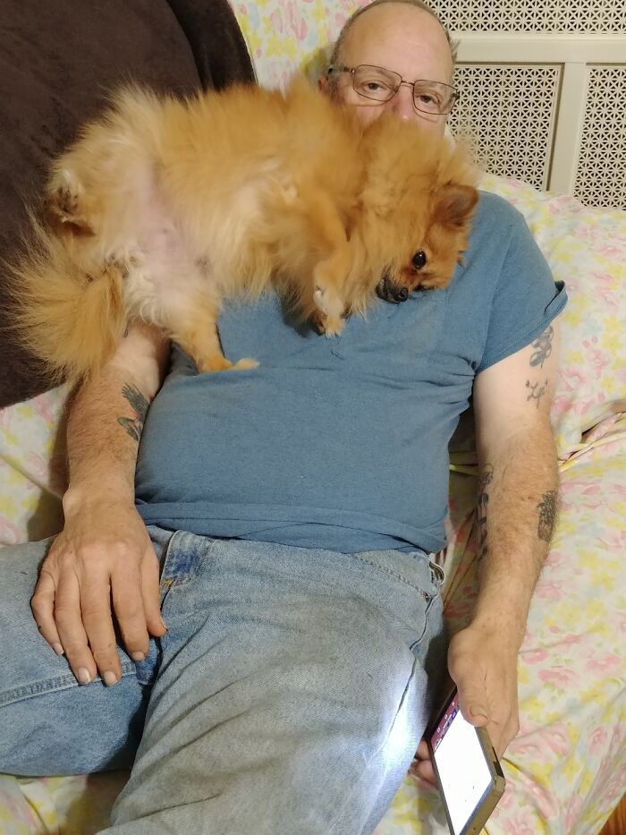 You Are Going To Rub My Belly!! Zoey Loves Dad,but Hates When He's On His Cell!!