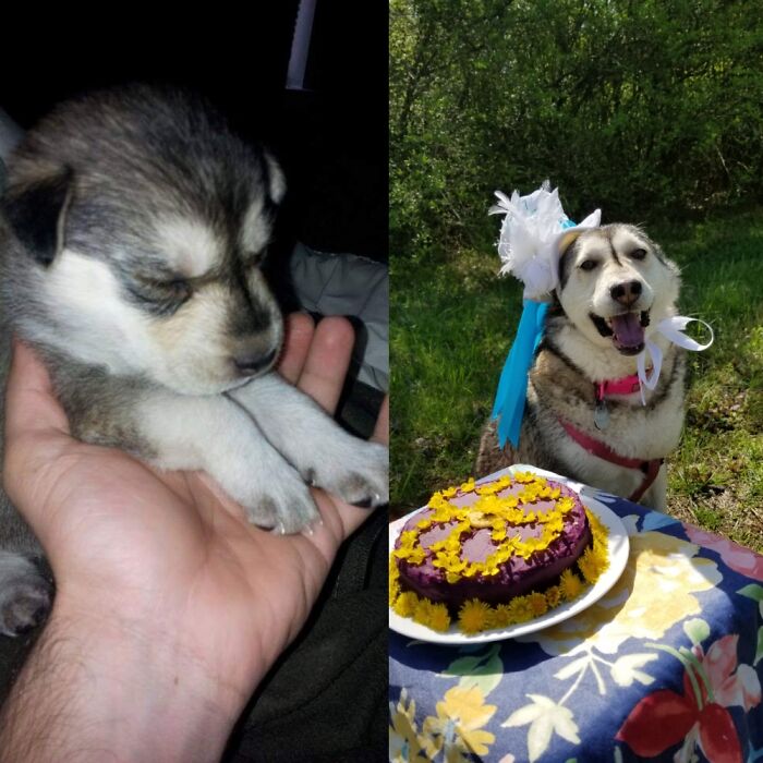 Celebrated My 7th Birthday Last Spring With Friends At The Park, We Ate Ube+peanut Butter Cake.