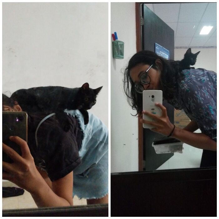 Now & Then. I Found Her At Water Reservoir In My Office. Now, She Never Understand How Big She