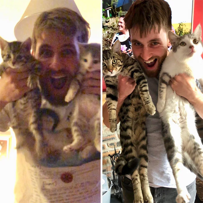 My Boyfriend Showcasing The Growth Of Our Kitties