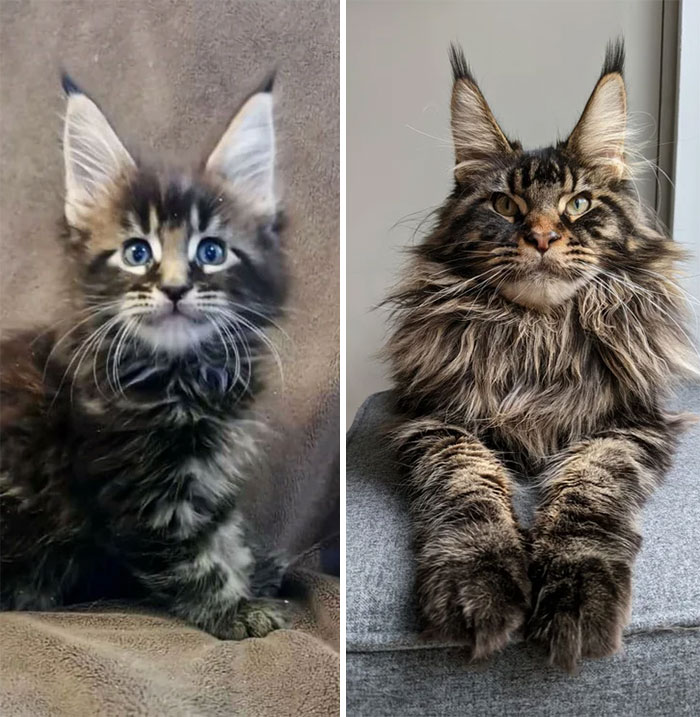 6 Weeks And 8 Months