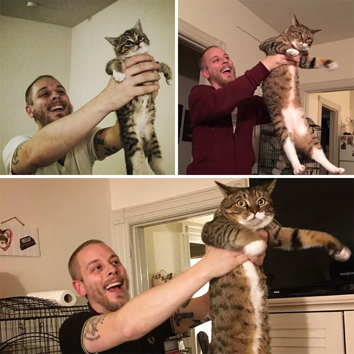 I Make Him Do "The Circle Of Life" With Me On The Anniversary Of His Adoption