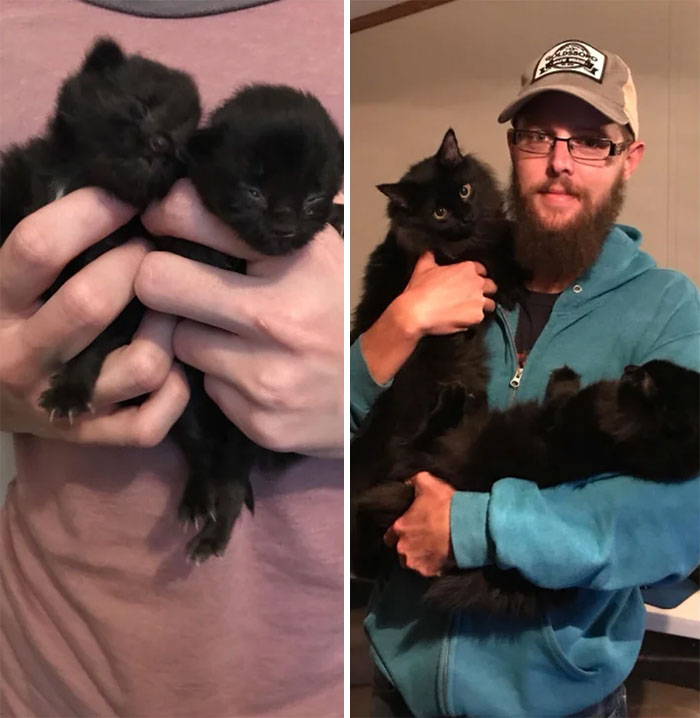 About A Year Ago I Shared A Picture Of Some Kittens I Found Under My House. Here’s An Update
