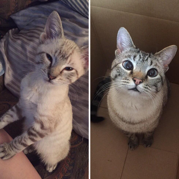 From A Few Months Old To Three Years Old, And Still Baby-Faced