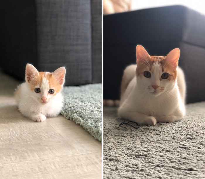 Pharah At Being 1-Month-Old And 1-Year-Old