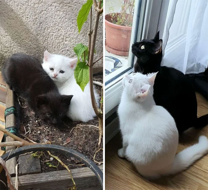 From 1 Month To 7 Months