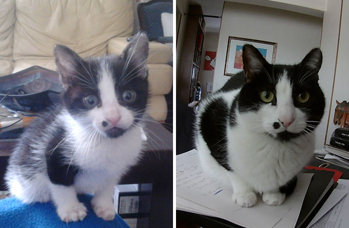 From Derpy To Chonker In 5 Years