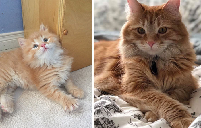 My Baby Boy, Bailey, From The First Day To 2,5 Years Later