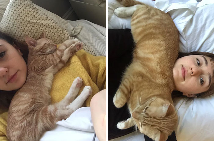 My Sweet Son Edward In His Favorite Spot The Day I Brought Him Home At Twelve Weeks, And Two Years Later