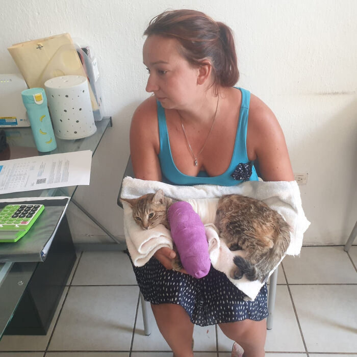 Refusing To Come Back Home Without Their Adopted Cat, UK Couple Gets Stuck In Mexico For A Whole Year