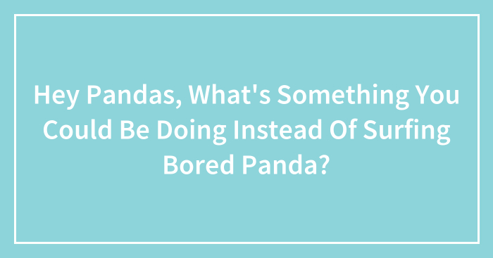 Hey Pandas, What’s Something You Could Be Doing Instead Of Surfing Bored Panda? (Closed)