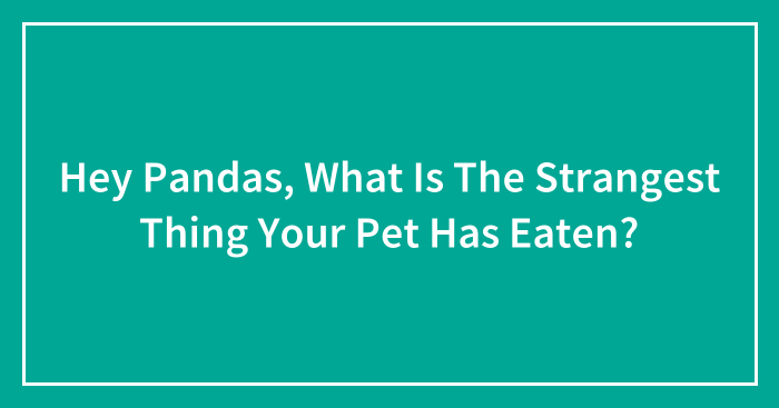 Hey Pandas, What Is The Strangest Thing Your Pet Has Eaten? (Closed)