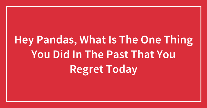 Hey Pandas, What Is The One Thing You Did In The Past That You Regret Today? (Closed)