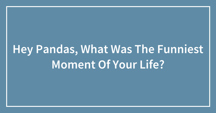 Hey Pandas, What Was The Funniest Moment Of Your Life? (Closed)