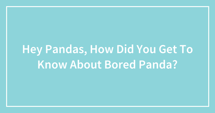Hey Pandas, How Did You Get To Know About Bored Panda? (Closed)