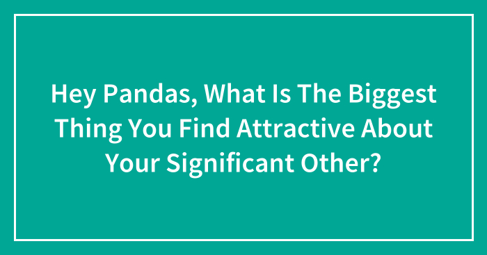 Hey Pandas, What Is The Biggest Thing You Find Attractive About Your Significant Other? (Closed)