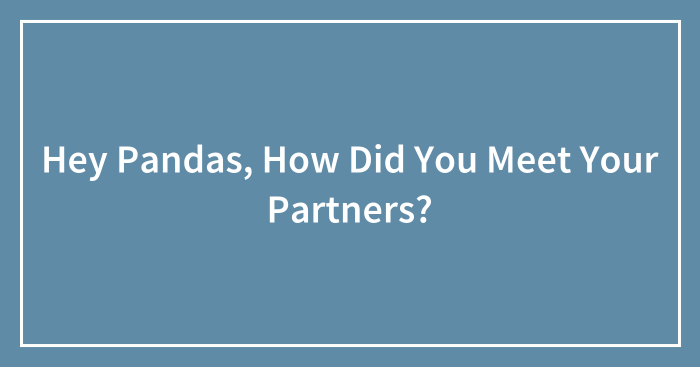 Hey Pandas, How Did You Meet Your Partners? (Closed)