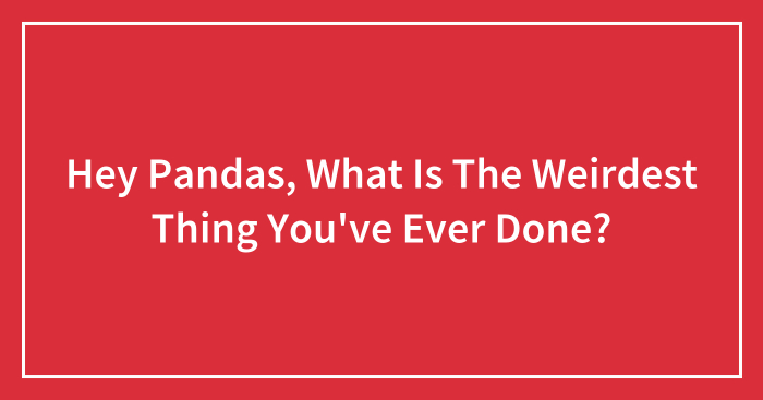 Hey Pandas, What Is The Weirdest Thing You’ve Ever Done? (Closed)