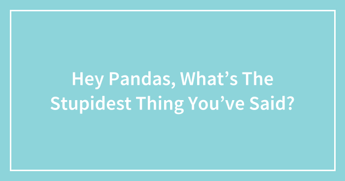 Hey Pandas, What’s The Stupidest Thing You’ve Said? (Closed)