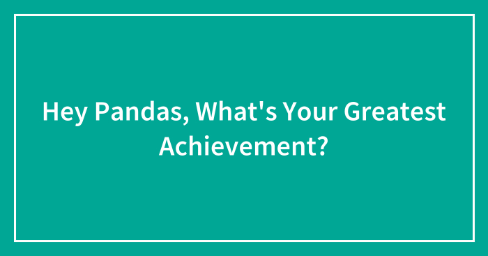 Hey Pandas, What’s Your Greatest Achievement? (Closed)