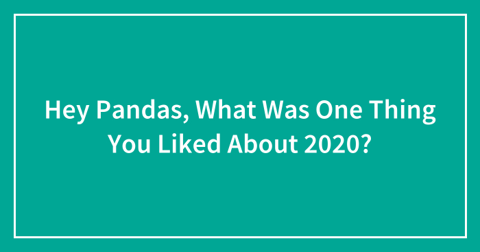 Hey Pandas, What Was One Thing You Liked About 2020? (Closed)