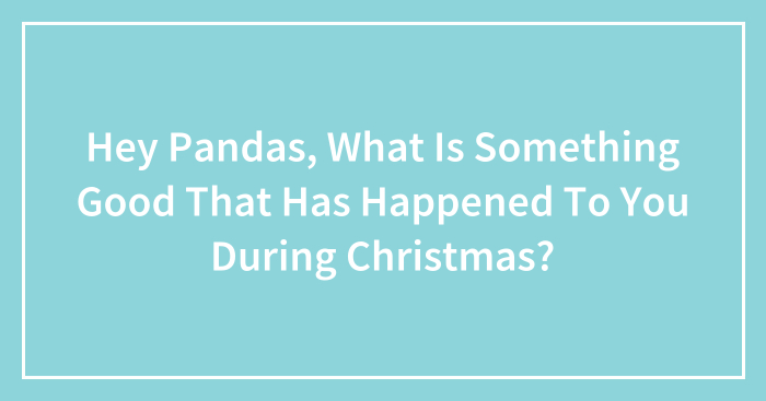 Hey Pandas, What Is Something Good That Has Happened To You During Christmas? (Closed)