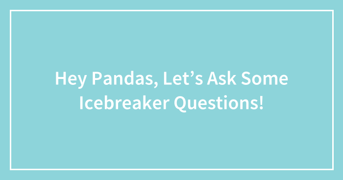 Hey Pandas, Let’s Ask Some Icebreaker Questions! (Closed)