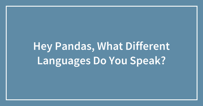 Hey Pandas, What Different Languages Do You Speak? (Closed)