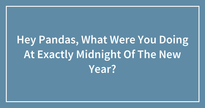 Hey Pandas, What Were You Doing At Exactly Midnight Of The New Year? (Closed)