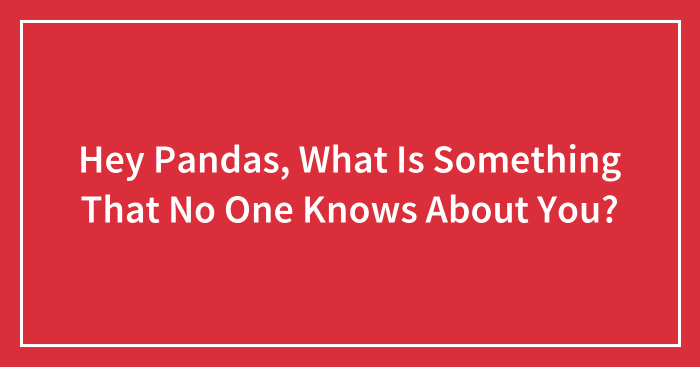 Hey Pandas, What Is Something That No One Knows About You?