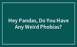 Hey Pandas, Do You Have Any Weird Phobias?