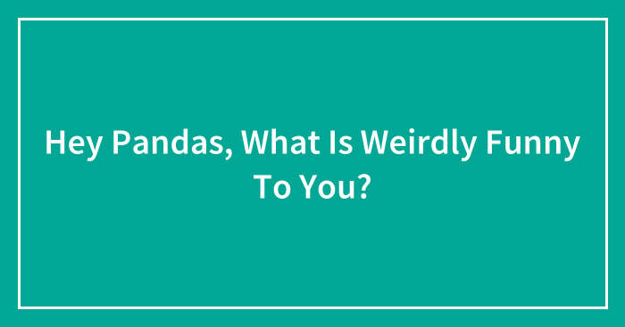Hey Pandas, What Is Weirdly Funny To You? (Closed)