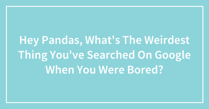 Hey Pandas, What’s The Weirdest Thing You’ve Searched On Google When You Were Bored? (Closed)