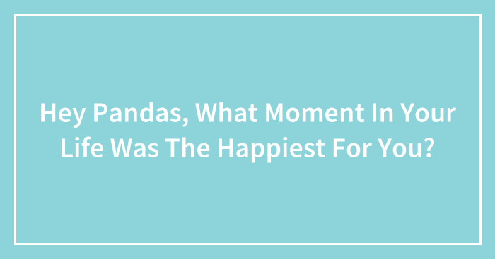 Hey Pandas, What Moment In Your Life Was The Happiest For You? (Closed)