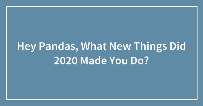 Hey Pandas, What New Things Did 2020 Made You Do? (Closed)