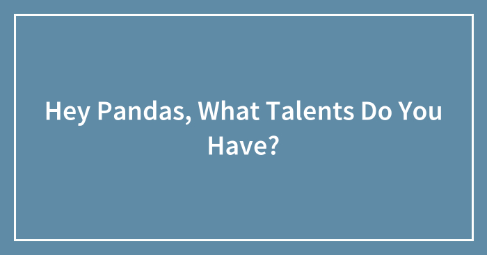 Hey Pandas, What Talents Do You Have? (Closed)