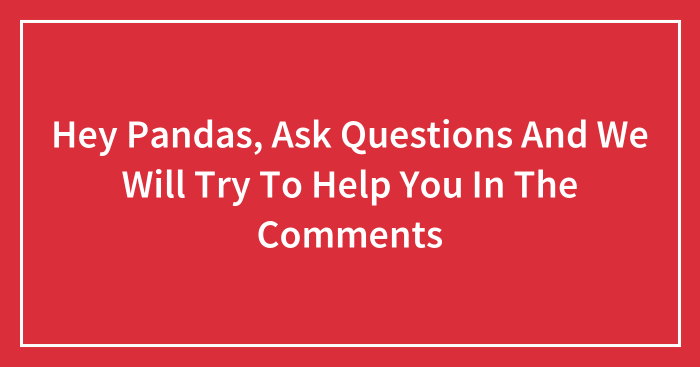Hey Pandas, Ask Questions And We Will Try To Help You In The Comments (Closed)