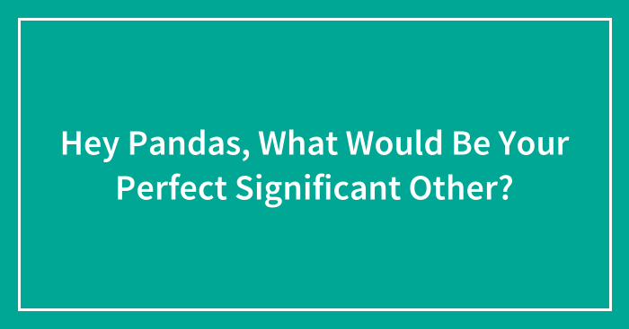 Hey Pandas, What Would Be Your Perfect Significant Other? (Closed)