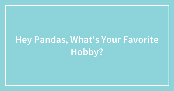 Hey Pandas, What’s Your Favorite Hobby? (Closed)