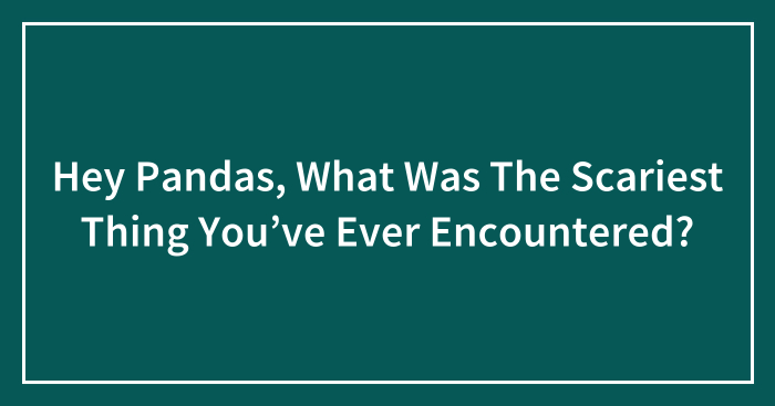 Hey Pandas, What Was The Scariest Thing You’ve Ever Encountered? (Closed)