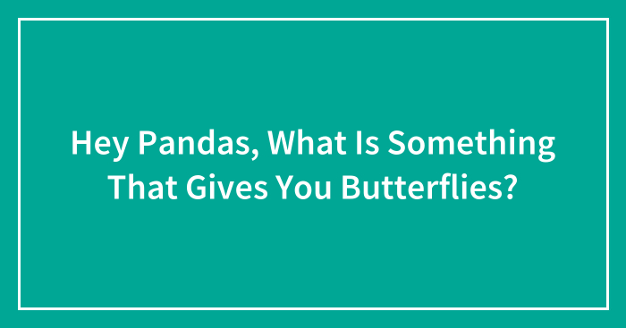 Hey Pandas, What Is Something That Gives You Butterflies? (Closed)