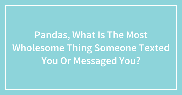Pandas, What Is The Most Wholesome Thing Someone Texted You Or Messaged You? (Closed)