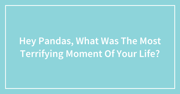 Hey Pandas, What Was The Most Terrifying Moment Of Your Life? (Closed)