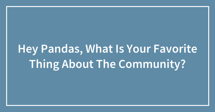 Hey Pandas, What Is Your Favorite Thing About The Community? (Closed)