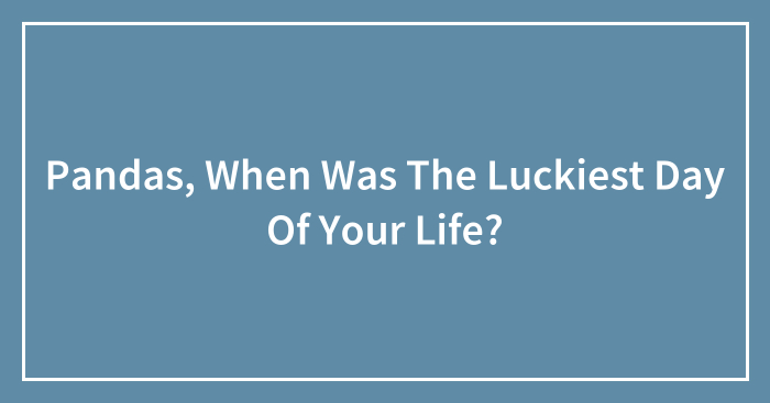 Pandas, When Was The Luckiest Day Of Your Life? (Closed)