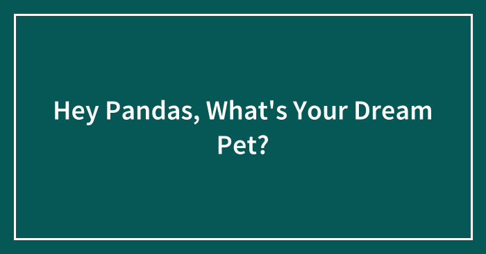 Hey Pandas, What’s Your Dream Pet? (Closed)