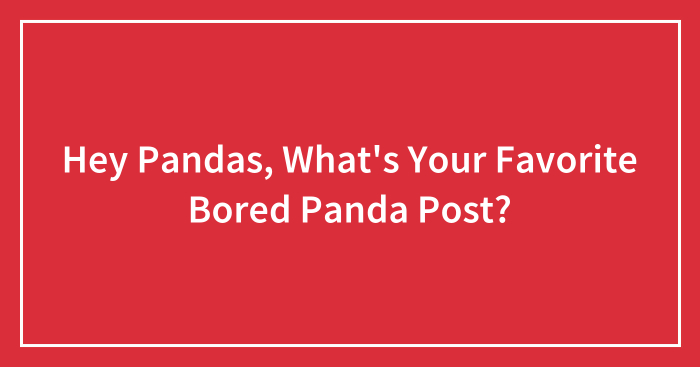 Hey Pandas, What’s Your Favorite Bored Panda Post? (Closed)