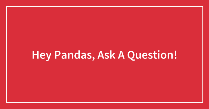 Hey Pandas, Ask A Question! (Closed)