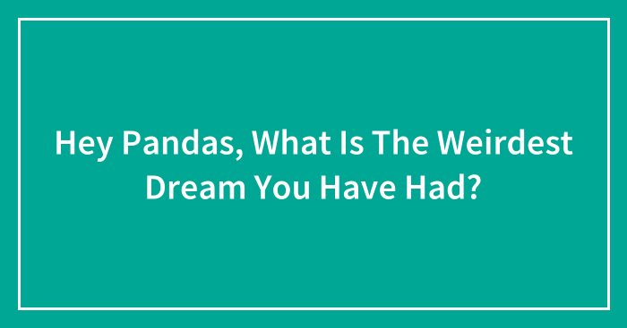 Hey Pandas, What Is The Weirdest Dream You Have Had? (Closed)