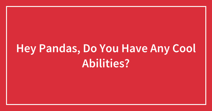 Hey Pandas, Do You Have Any Cool Abilities? (Closed)